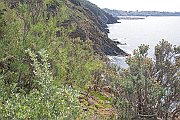25 DSC_96   c  2 4